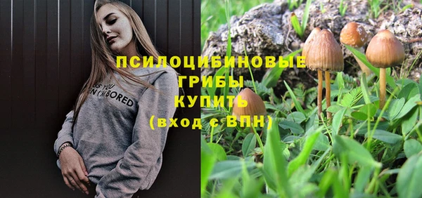 ешки Армянск