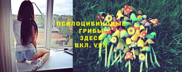 ешки Армянск