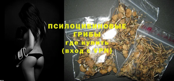 крисы Арсеньев
