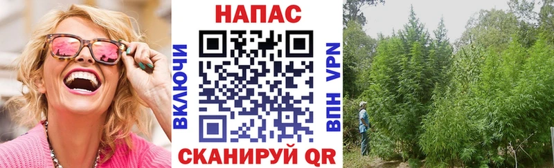 МАРИХУАНА VHQ  где найти наркотики  MEGA ТОР  Благодарный 